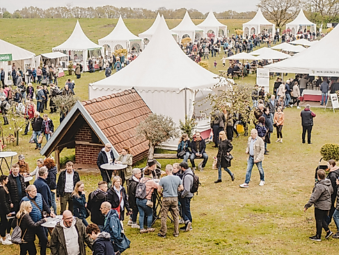 26. Oliven-Abholtage in Wilstedt