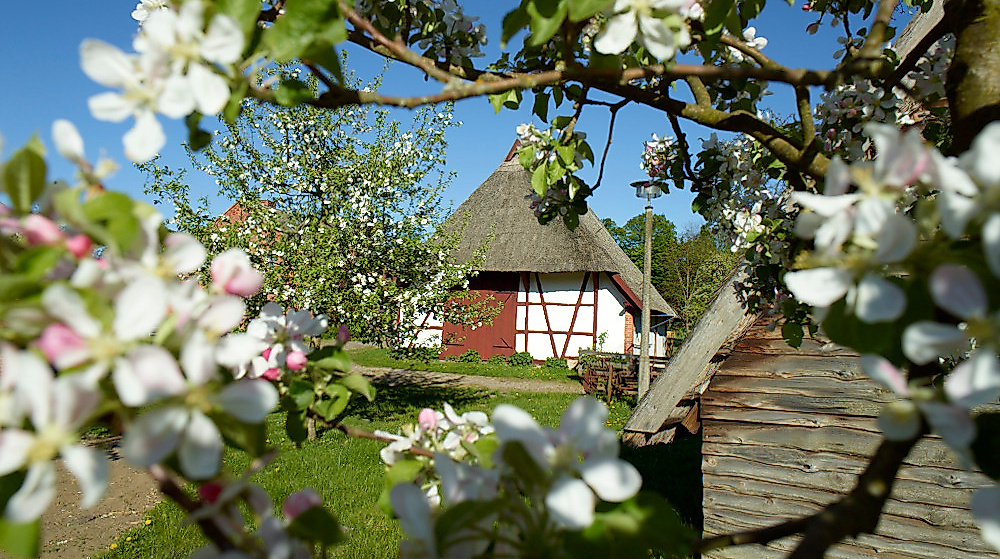 Freilichtmuseum Schwerin-Mueß