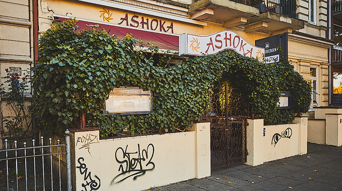 ashoka_c-2018-thisisjulia-photography-2