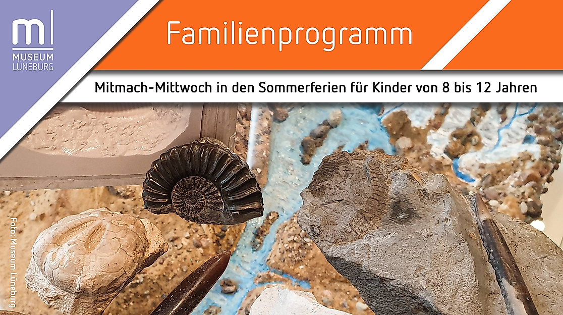 Mitmach-Mittwoch: Fossilien – Komm, ich erzähl‘ Dir eine Erdgeschichte