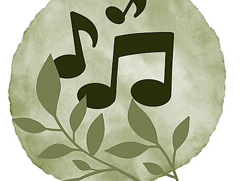 Sinfoniekonzert Collegium musicum Rendsburg