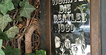 bambi_kino_c-anna_lidle-3