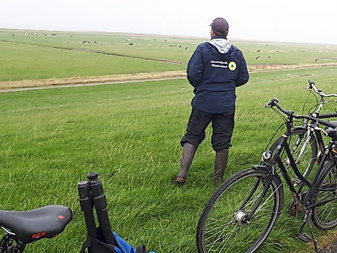 Wildnistour: mit dem Ranger zu den Brutvögeln