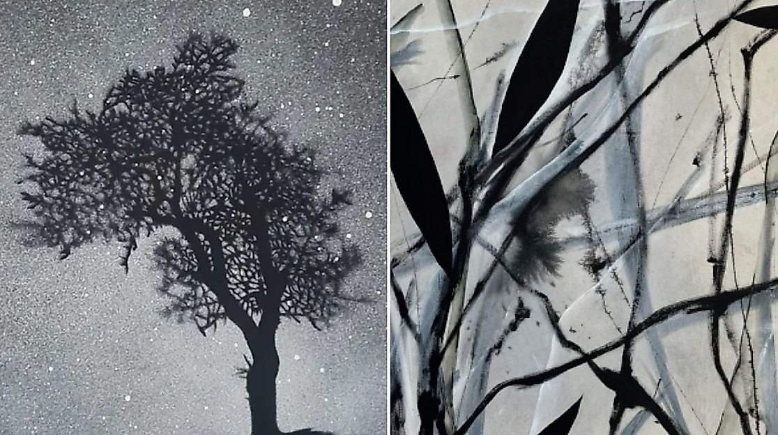 whatsapp-image-2026-03-20-at-072016-kopie