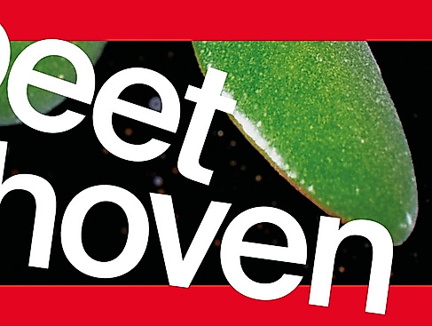 Ensemble Resonanz / Pablo Ferrández / Riccardo Minasi