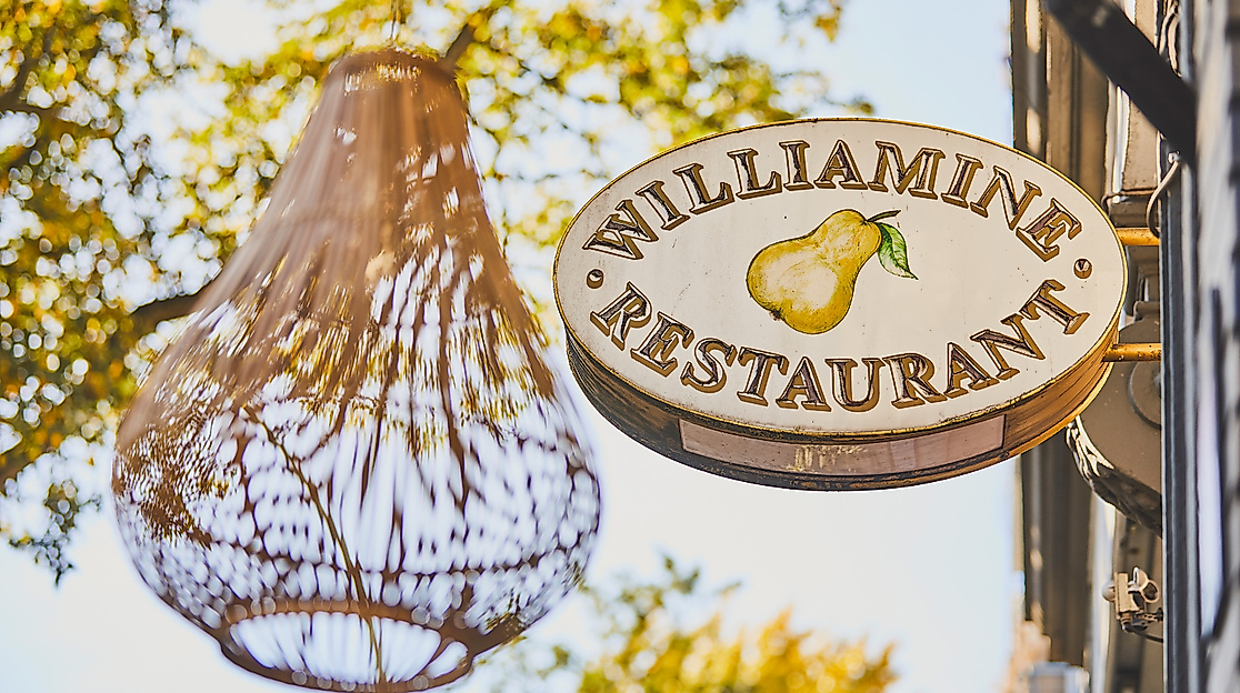 williamine_c-2018-thisisjulia-photography-3