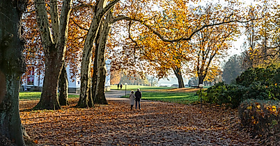 Jenischpark