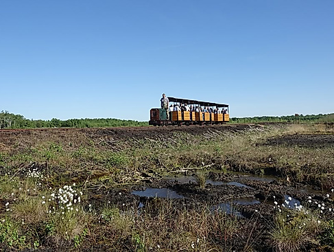 Torfbahn im Moor