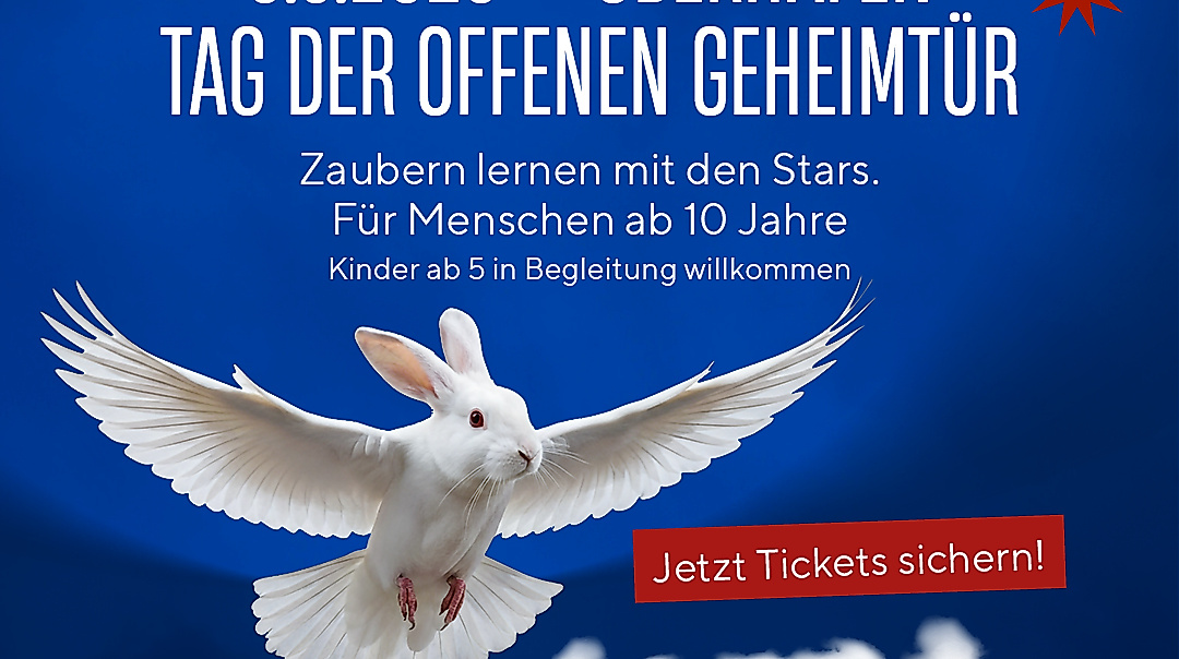 20260414_magicdays_tdog_postadd_1080x1080