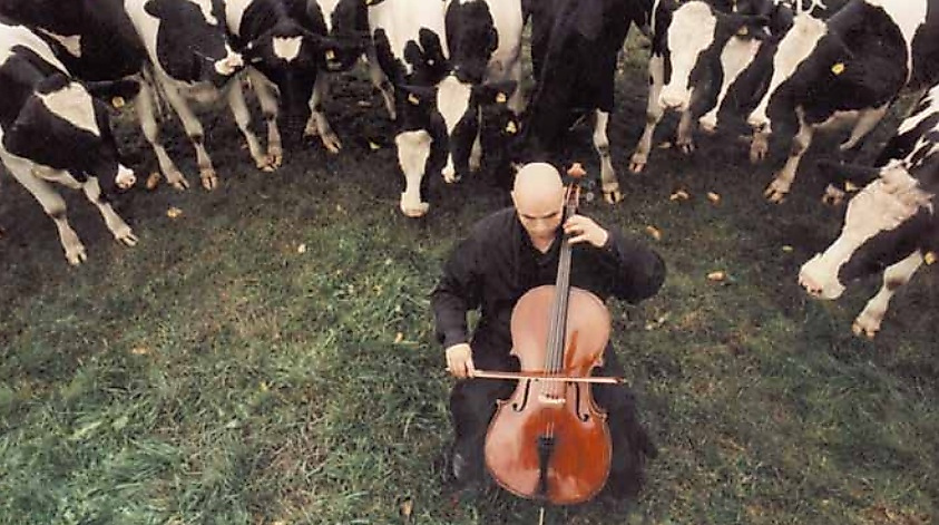 Pure Liebe, Cello Konzert