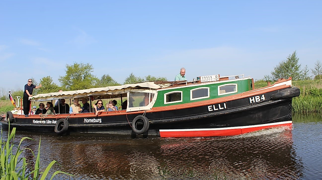 Elli 2024