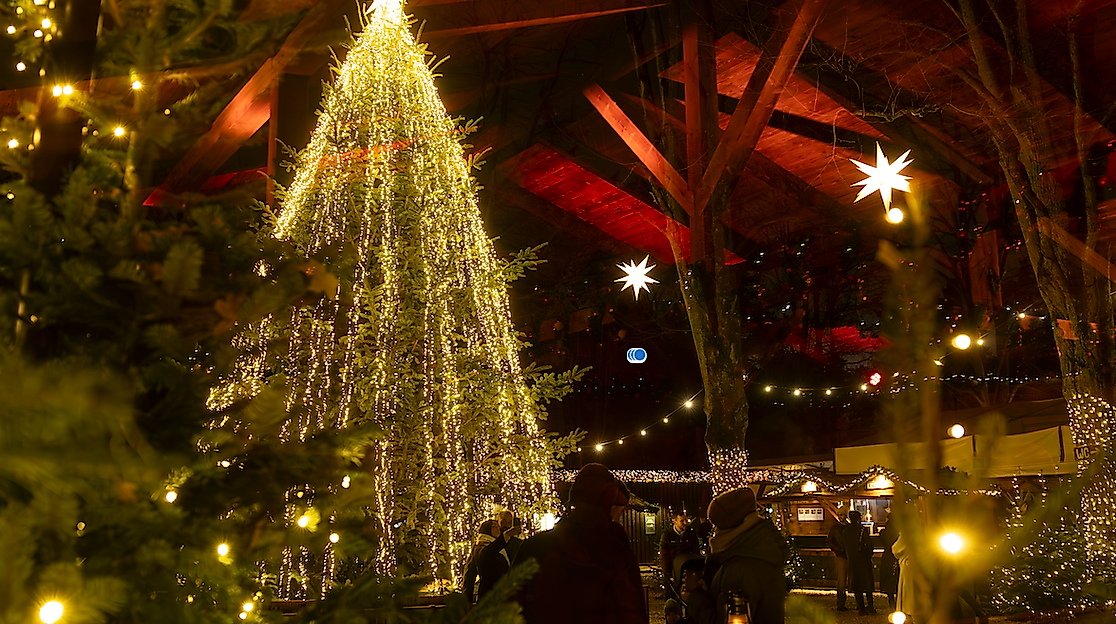 Wintermarkt