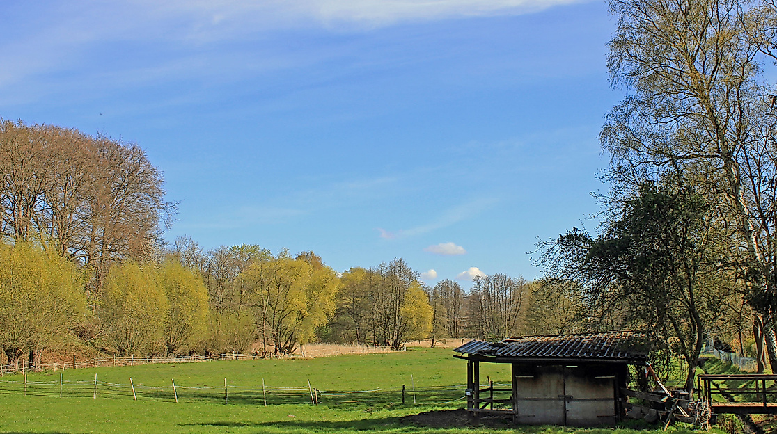 Heimfelder Holz