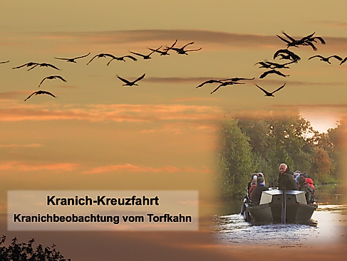 Kranich-Kreuzfahrt - Kranichbeobachtung mit dem Torfkahn