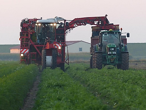 Zukunft der Landwirtschaft