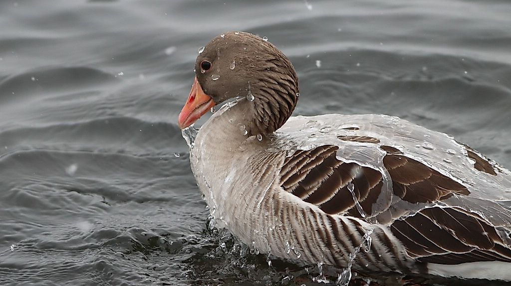 termin_25.10.26_IMG_7149