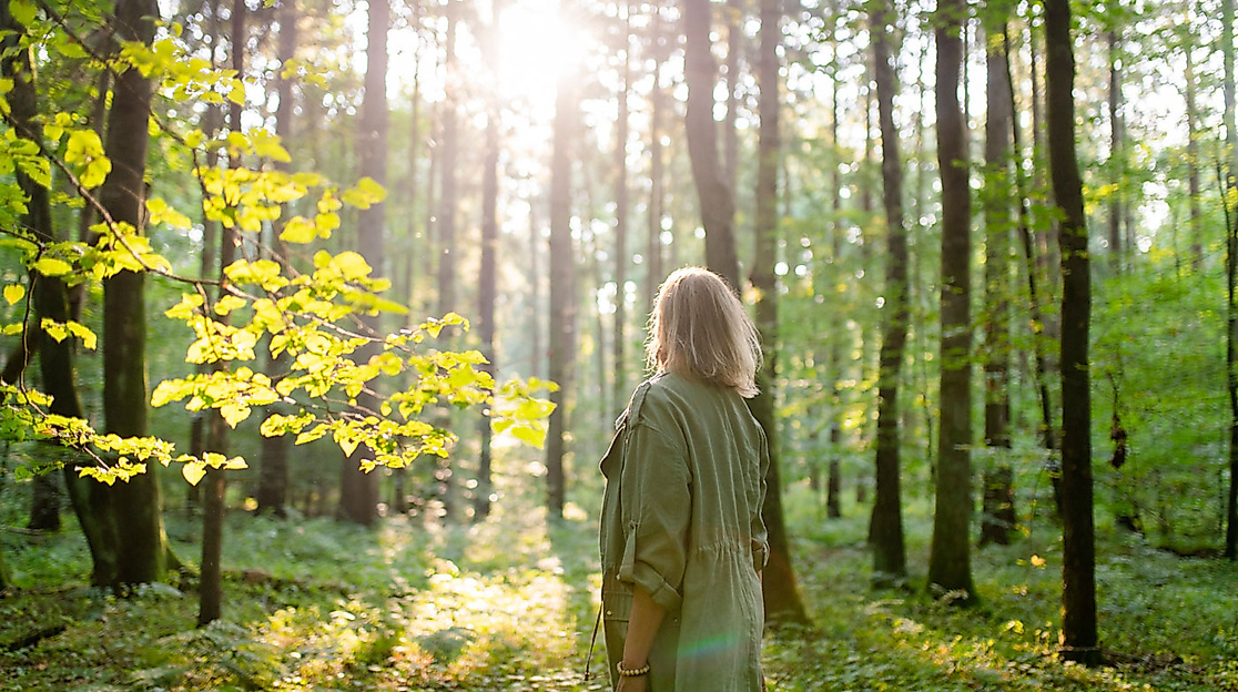 Waldbaden in Hamburg ,Sommersonnenwende