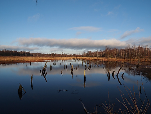 Foto_Wittmoor_(c)_Axel_Jahn-min