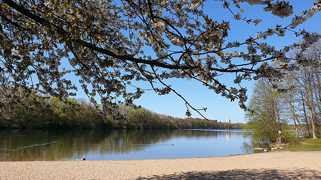 Öjendorfer Park