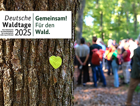Waldtage