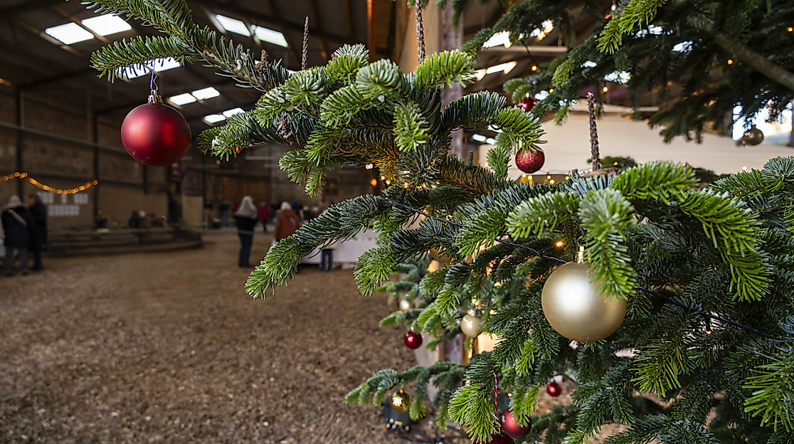 Weihnachten, Hof an den Teichen