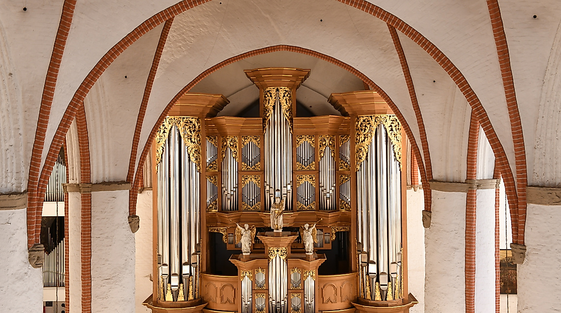 Arp-Schnitger-Orgel