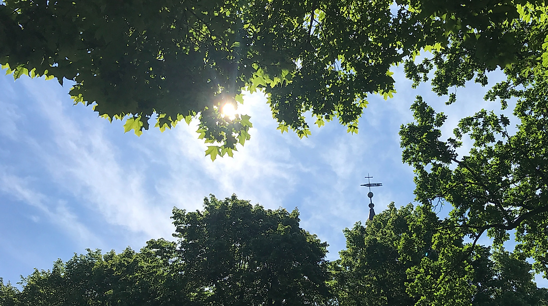 Sonne und Kirchturmspitze