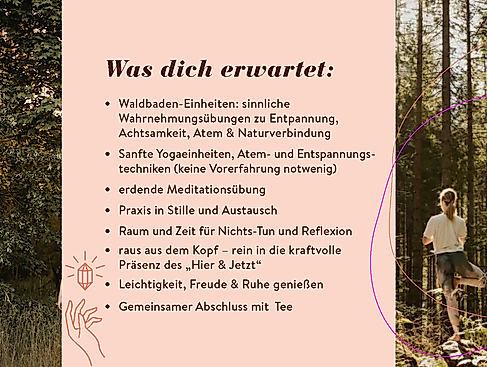 Waldyoga in Hamburg und Schleswig-Holstein