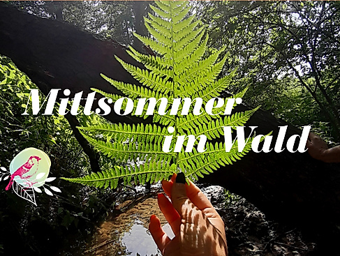 Mittsommer im Wald