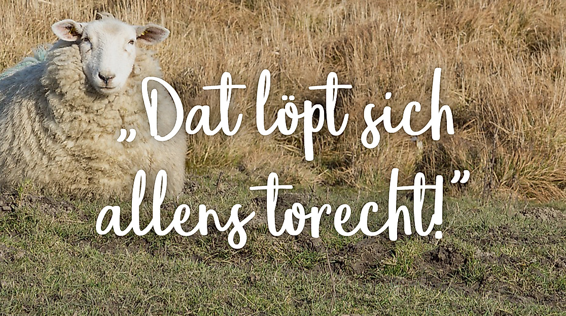 Dat löpt sich allens torecht!
