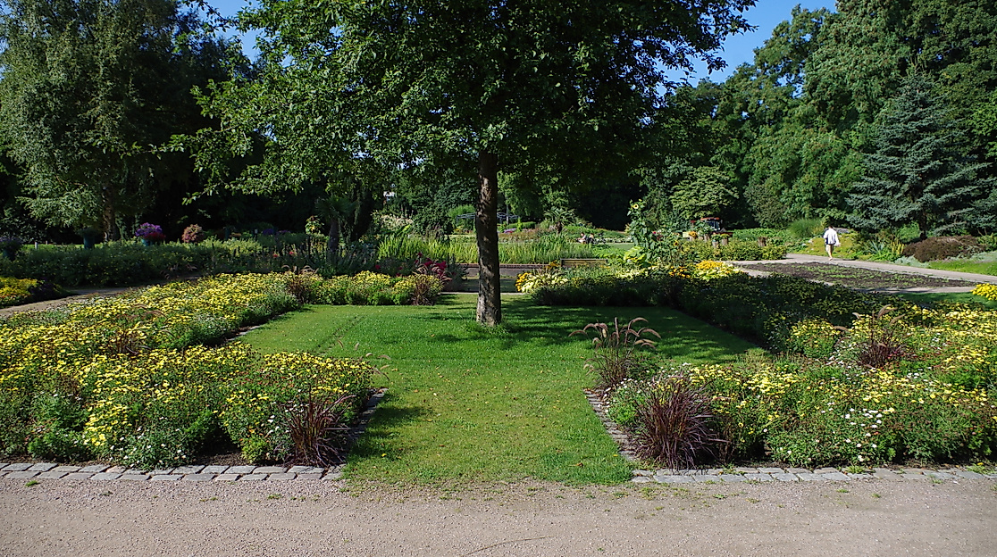 Sommerblumenbeet im Botanischen Sondergarten