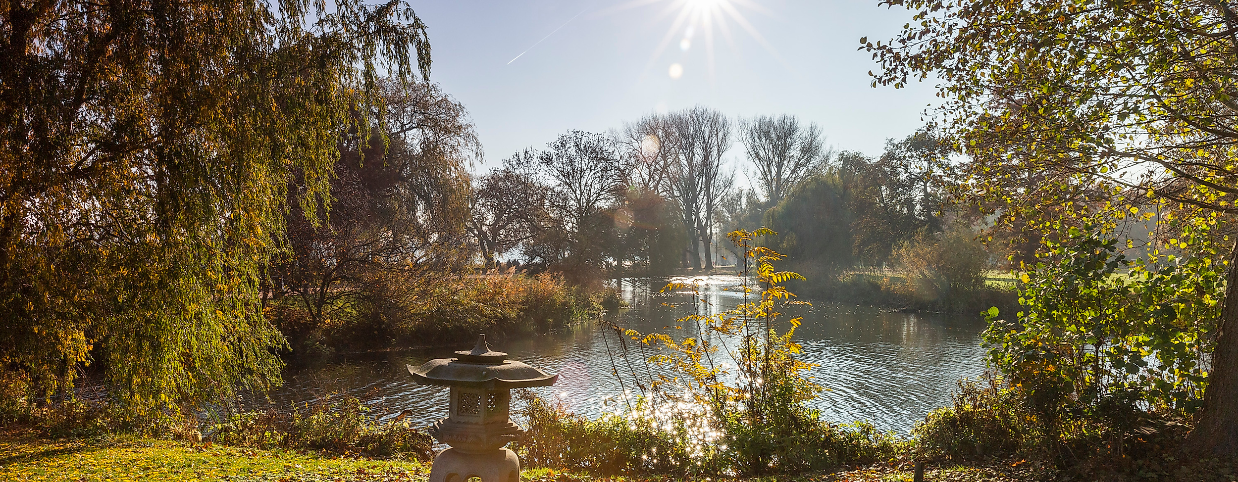 Sonnenlicht über der von Bäumen umrahmten Außenalster in Hamburg mit glitzerndem Wasser und grüner Uferlandschaft