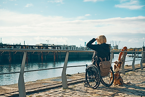 Rollstuhlfahrerin mit Hund blickt auf den Hamburger Hafen, barrierefreier Weg entlang der Hafencity.