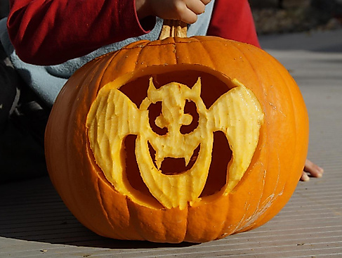 Kürbis Halloween
