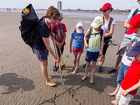 Wattwanderung in Büsum: Weltnaturerbe Wattenmeer