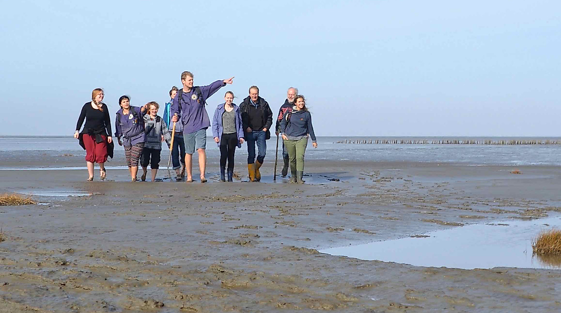 Wattwanderung in Friedrichskoog