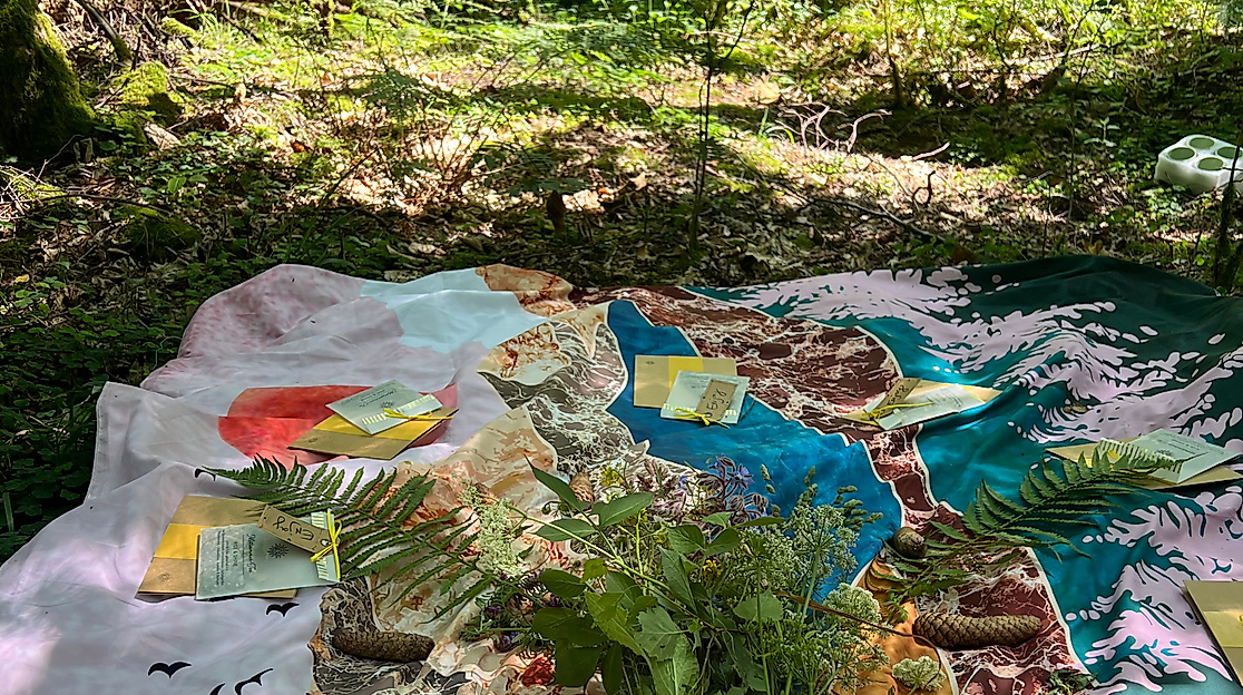 Waldimpuls-Hamburg, Mittsommer im WAld