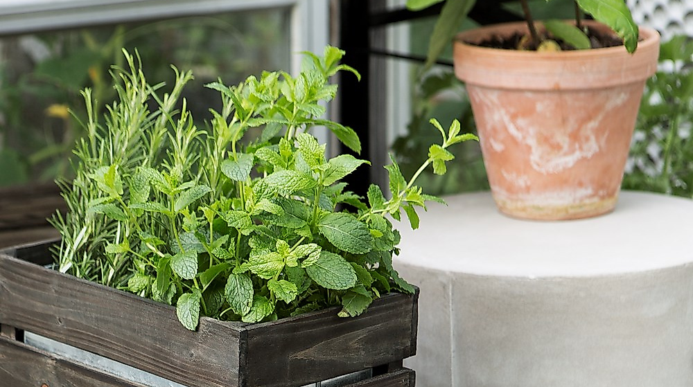 granit-store_c-granit_07