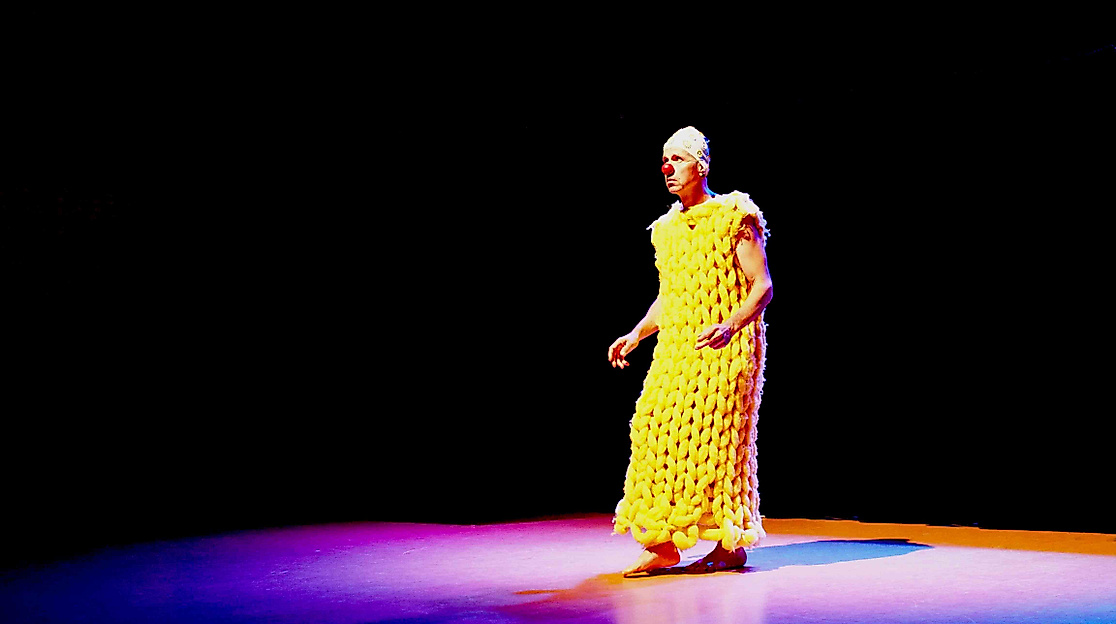 Ein Zebra am Abgrund