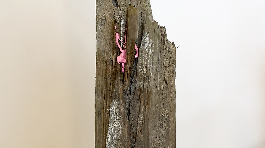 Stammbäume, Detail, 2025