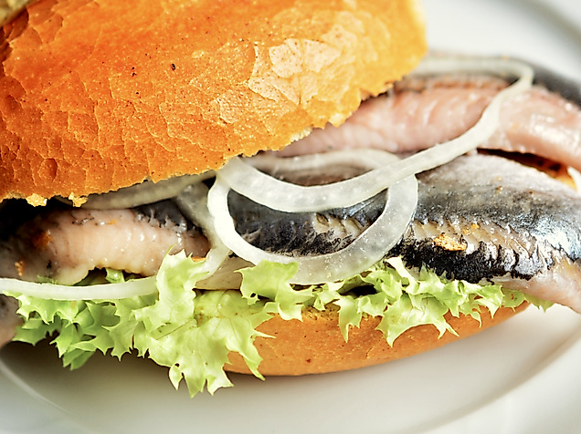 Fischbrötchen mit Matjes, Zwiebelringen und Salat auf einem weißen Teller serviert