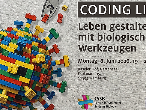 coding-life-uhh-qr