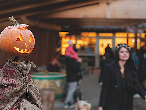 Halloween im Wingster Waldzoo