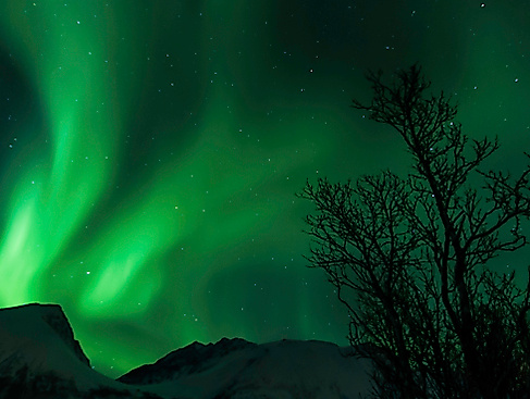 Polarlichter von der Arktis bis in die Lübecker Bucht