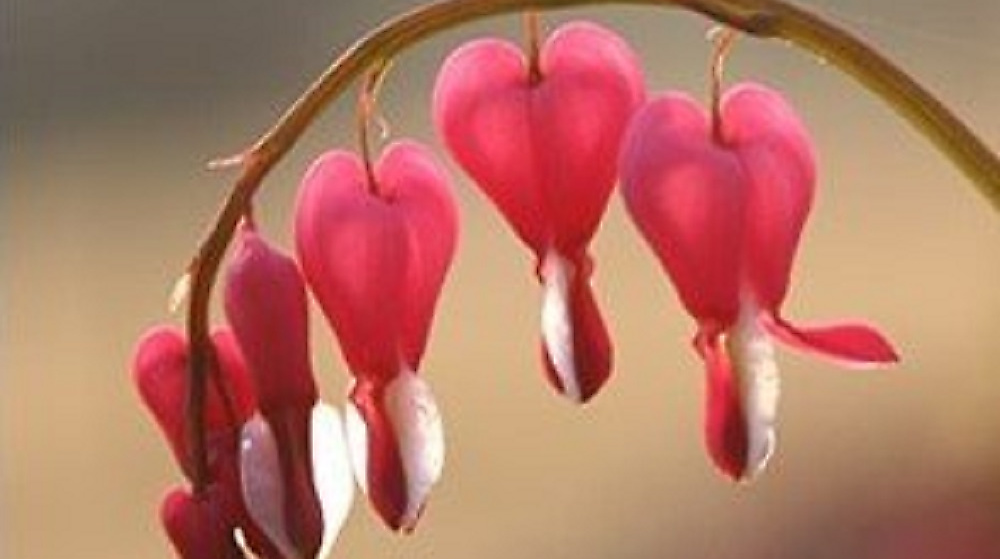 Kochen mit Trauernden