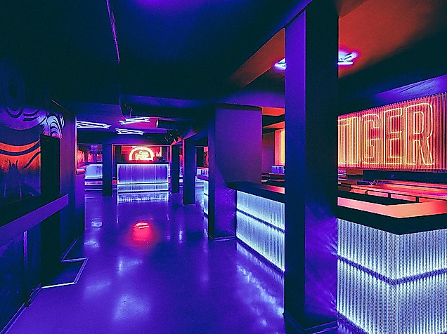 nikki-tiger_c-nikki-tiger-3