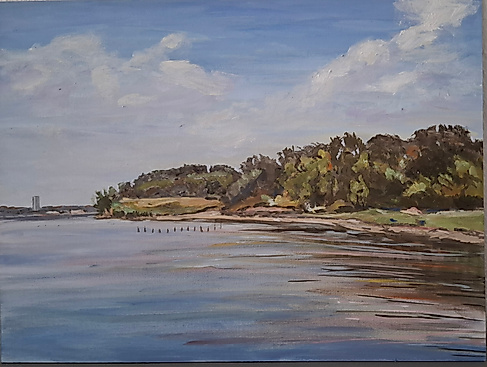 Das Naturschutzgebiet Salzwiesen in Neustadt bietet Vögeln Rast- und Brutplätze.