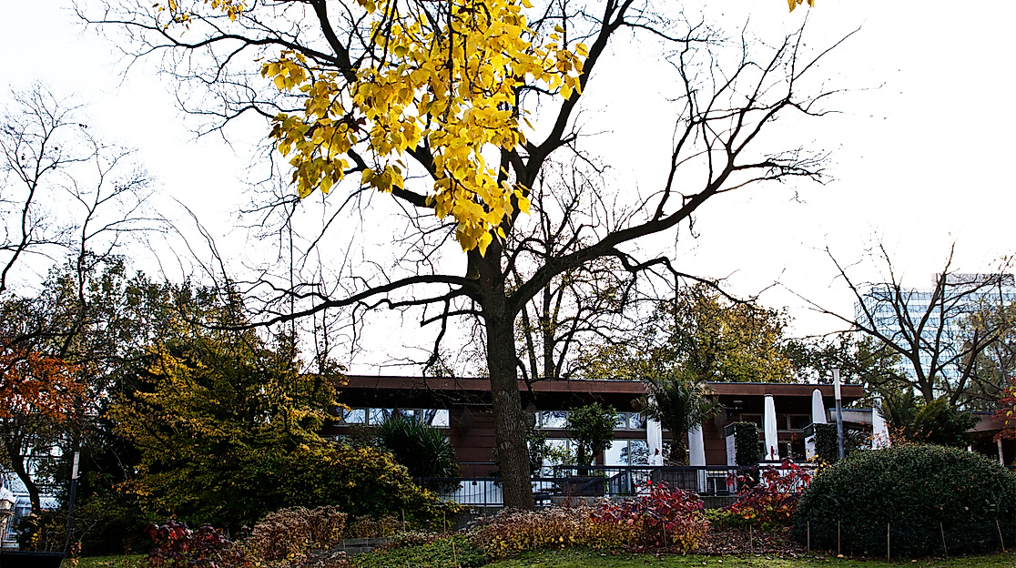 park-cafe-schoene-aussichten_c-2018_tschreiber