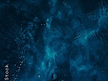 Ocean Wonders