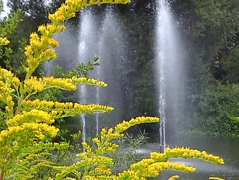 Fontäne im Kurpark